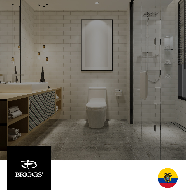 imagen y logo briggs